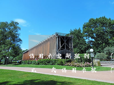 信用卡逾期被列為網(wǎng)上追逃怎么辦(欠信用卡被網(wǎng)上通緝了怎么辦)