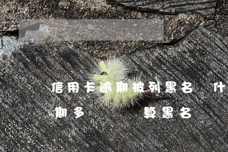 信用卡逾期被列黑名單什么時候銷(信用卡逾期多長時間算黑名單)