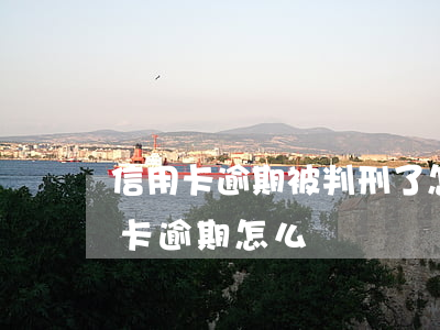 信用卡逾期被判刑了怎么辦(被刑拘導致信用卡逾期怎么辦)