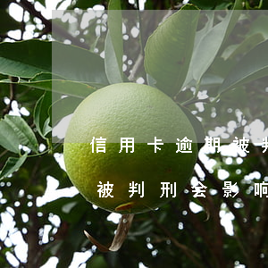 信用卡逾期被判刑会影响子女吗(信用卡逾期被判刑会影响子女吗吗)