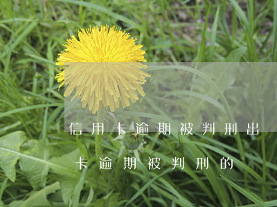 信用卡逾期被判刑出來還要還嗎(有沒有信用卡逾期被判刑的)
