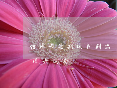 信用卡逾期被判刑出獄后又被起訴(入獄后信用卡逾期)