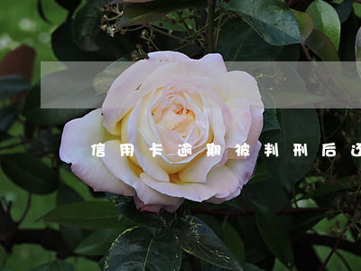 信用卡逾期被判刑后还钱会撤销吗