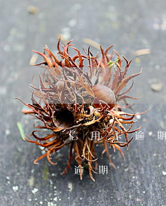 信用卡逾期被判刑怎么辦 法院如何判信用卡逾期