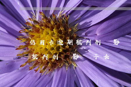 信用卡逾期被判刑會影響子女嗎(信用卡逾期被判刑會影響子女嗎嗎)