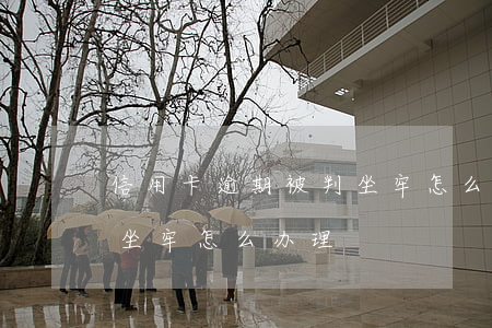 信用卡逾期被判坐牢怎么办 信用卡逾期被判坐牢怎么办理