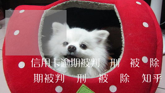 信用卡逾期被判緩刑會被開除嗎-信用卡逾期被判緩刑會被開除嗎知乎