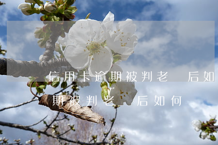 信用卡逾期被判老賴后如何還錢-信用卡逾期被判老賴后如何還錢呢