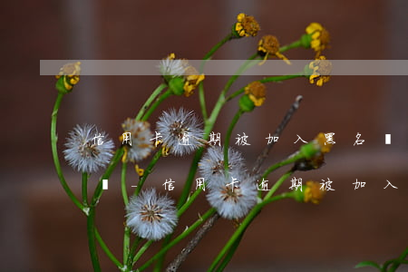 信用卡逾期被加入黑名單還能恢復(fù)嗎-信用卡逾期被加入黑名單還能恢復(fù)嗎知乎