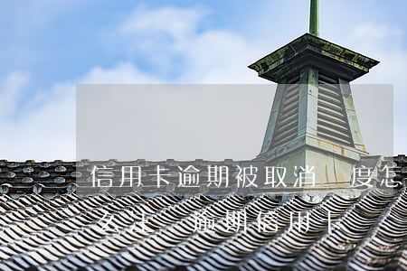 信用卡逾期被取消額度怎么恢復(fù)(怎么注銷逾期信用卡)