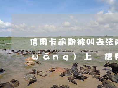 信用卡逾期被叫去法院協(xié)商(網(wǎng)上說信用卡逾期有人可以幫忙協(xié)商)