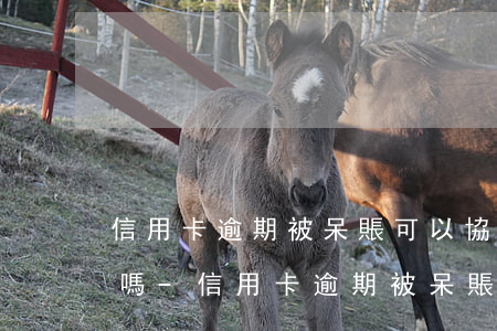 信用卡逾期被呆賬可以協(xié)商還款嗎-信用卡逾期被呆賬可以協(xié)商還款嗎知乎
