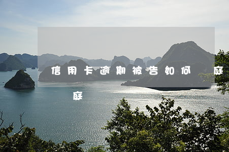 信用卡逾期被告如何開庭(信用卡逾期被告知開庭)