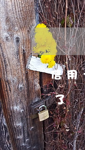 信用卡逾期被告沒錢還 欠信用卡逾期被起訴了
