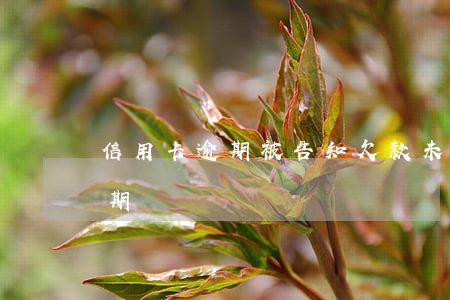 信用卡逾期被告知欠款未還(欠銀行信用卡逾期)
