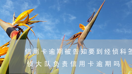 信用卡逾期被告知要到经侦科签字(公安局经侦大队负责信用卡逾期吗)