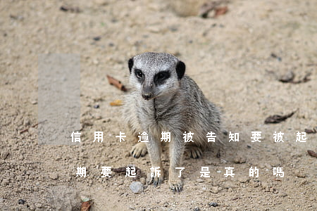 信用卡逾期被告知要被起訴(短信說信用卡逾期要起訴了是真的嗎)