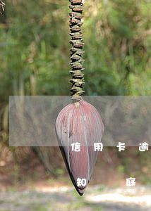 信用卡逾期被告知開庭時間(信用卡逾期被告知開庭時間)