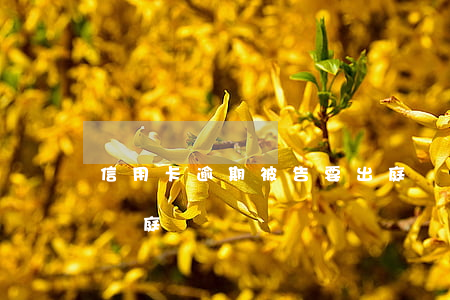 信用卡逾期被告要出庭嗎(信用卡逾期被告知開庭)