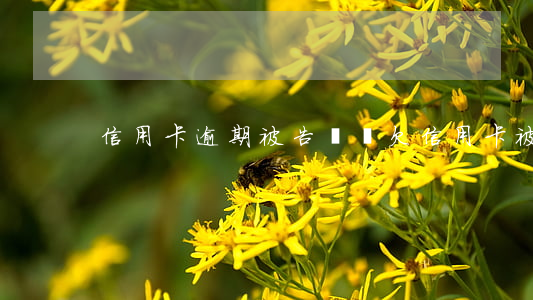 信用卡逾期被告訴訟(欠信用卡被訴訟)