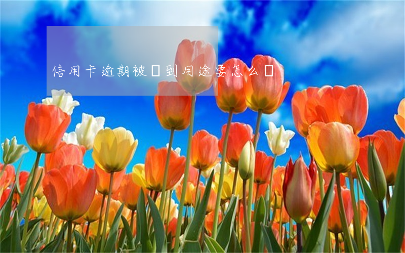 信用卡逾期被問到用途要怎么說