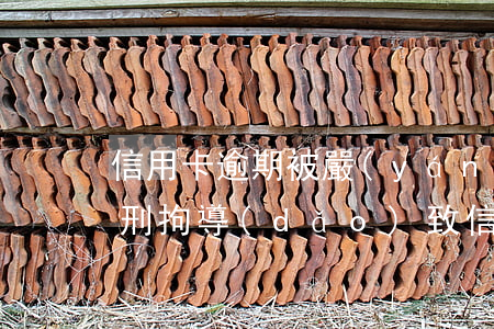 信用卡逾期被嚴(yán)重騷擾怎么辦(被刑拘導(dǎo)致信用卡逾期怎么辦)