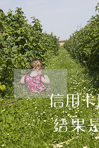 信用卡逾期被坏账怎么办(信用卡逾期最坏的结果是什么)