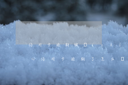 信用卡逾期被執(zhí)行了怎么辦 不小心信用卡逾期了怎么辦