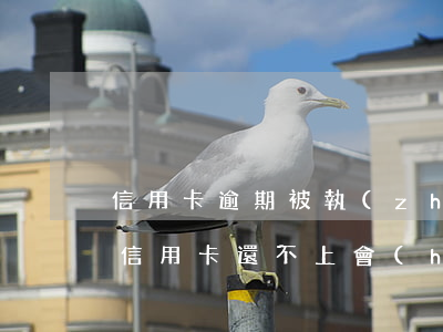 信用卡逾期被執(zhí)行可以還款嗎(欠信用卡還不上會(huì)被執(zhí)行老賴嗎)