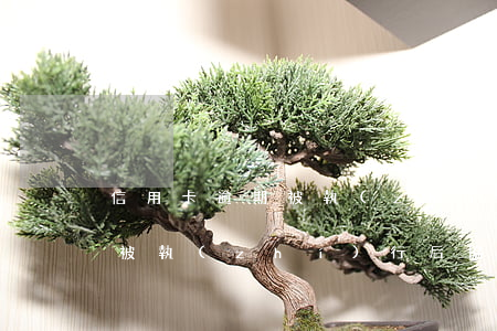 信用卡逾期被執(zhí)行后(信用卡逾期被執(zhí)行后協(xié)商結(jié)束后可以撤回執(zhí)行嗎)