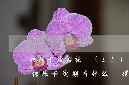 信用卡逾期被執(zhí)行咋辦-今年的信用卡逾期有什么處理