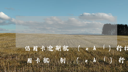 信用卡逾期被執(zhí)行找不到人(欠信用卡被強制執(zhí)行人實在沒錢還怎么辦)