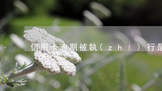 信用卡逾期被執(zhí)行是什么意思