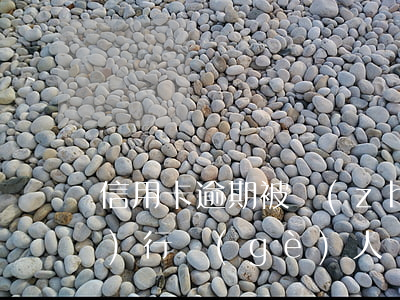 信用卡逾期被執(zhí)行是執(zhí)行個(gè)人還是-信用卡逾期被執(zhí)行是執(zhí)行個(gè)人還是法人