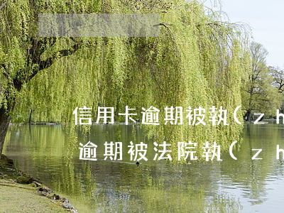 信用卡逾期被執(zhí)行的案例(信用卡逾期被法院執(zhí)行的案例)