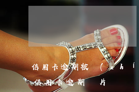 信用卡逾期被執(zhí)行相片-求一張信用卡逾期圖片