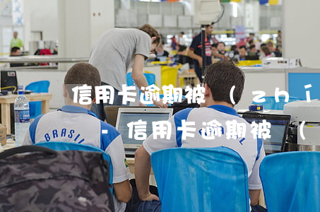信用卡逾期被執(zhí)行還能跟銀行談嗎-信用卡逾期被執(zhí)行還能跟銀行談嗎安全嗎