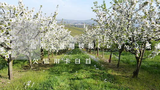 信用卡逾期被報(bào)案讓我去自首-欠信用卡自首