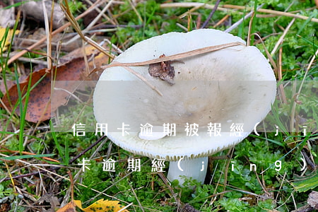 信用卡逾期被報經(jīng)偵大隊(信用卡逾期經(jīng)偵大隊會立案嗎)
