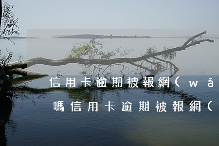 信用卡逾期被報網(wǎng)逃會被拘留嗎(信用卡逾期被報網(wǎng)逃會被拘留嗎會坐牢嗎)
