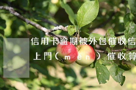 信用卡逾期被外包催收(信用卡逾期外包公司上門(mén)催收算是騷擾嗎)
