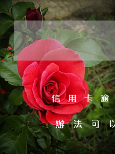 信用卡逾期被外訪(信用卡逾期被外訪,有什么辦法可以不上門催收)