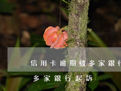 信用卡逾期被多家銀行先后起訴(欠信用卡被多家銀行起訴)