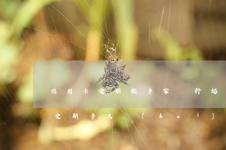 信用卡逾期被多家銀行起訴-欠銀行信用卡逾期多久會(huì)被起訴