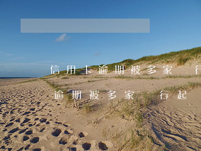 信用卡逾期被多家銀行起訴怎么辦-信用卡逾期被多家銀行起訴怎么辦理