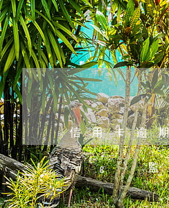 信用卡逾期被天網(wǎng)系統(tǒng)監(jiān)控(信用卡逾期被天網(wǎng)系統(tǒng)監(jiān)控)