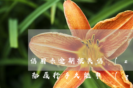 信用卡逾期被失信執(zhí)行(失信已全部履行多久能申請(qǐng)信用卡)
