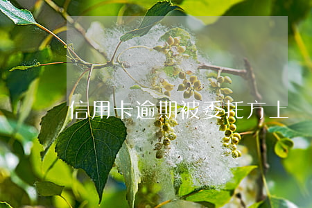 信用卡逾期被委托方上門