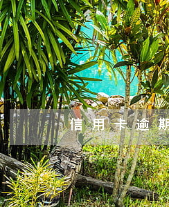 信用卡逾期被威脅立案上海