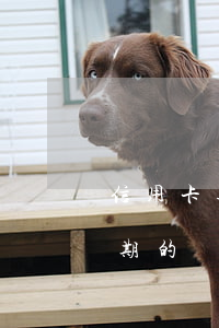 信用卡逾期被工作能保住嗎(有處理信用卡逾期的嗎)
